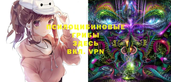 винт Ладушкин
