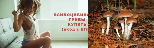 прущий лед Лагань