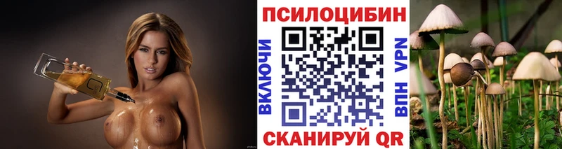 где купить наркотик  Городище  Галлюциногенные грибы мухоморы 