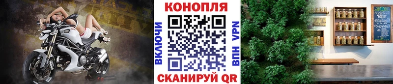 купить закладку Городище MEGA как зайти МАРИХУАНА семена
